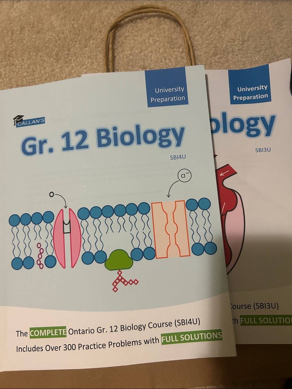SET OF 2 - Gr. 11 & 12 Biology University Textbook - Ontario